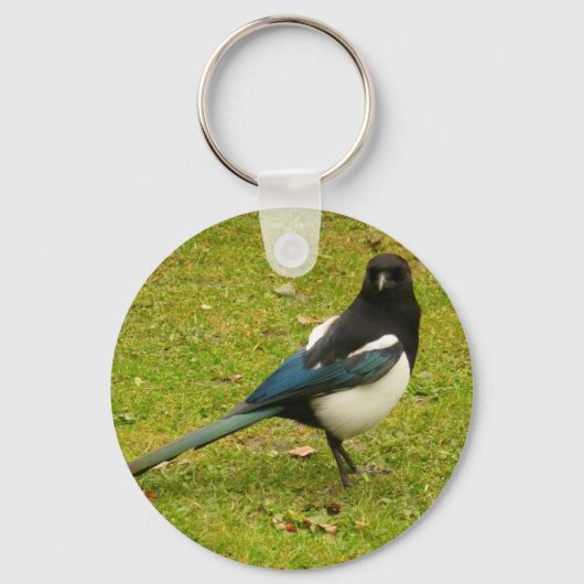 Porte-clés Porte - clé Magpie (Recto)