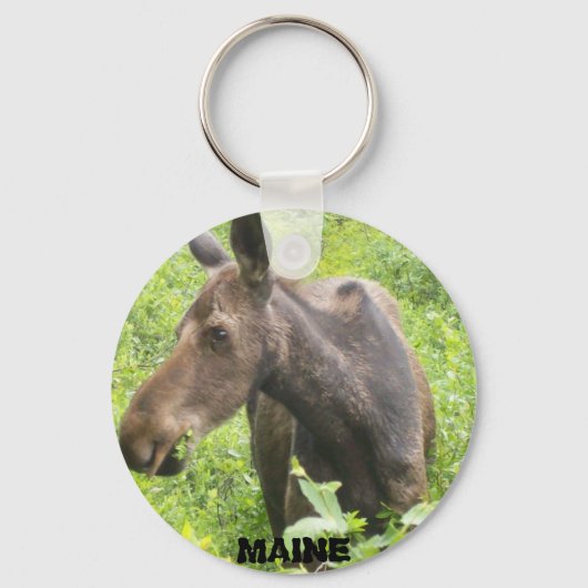 Porte-clés Porte - clé Maine Moose (Recto)