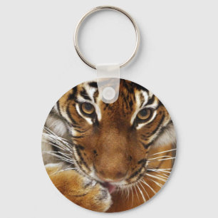 Porte-clés Porte - clé malais du tigre #1