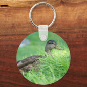 Porte-clés Porte - clé Mallard (Recto)