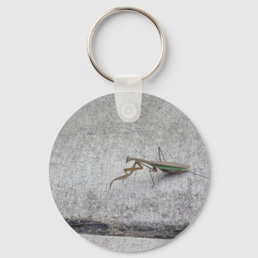 Porte-clés Porte - clé mante priant (Recto)