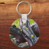 Porte-clés Porte - clé Manzanita (Recto)