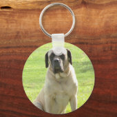 Porte-clés Porte - clé mastiff anglais (Recto)