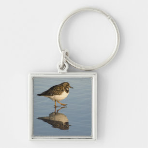Porte-clés Porte - clé mignon d'oiseau de bécasseau