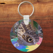 Porte-clés Porte - clé papillon (Recto)