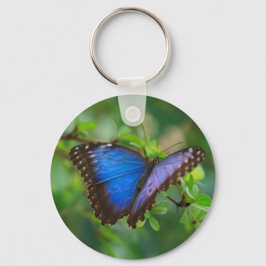 Porte-clés Porte - clé papillon bleu Morpho (Recto)