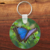 Porte-clés Porte - clé papillon bleu Morpho (Recto)