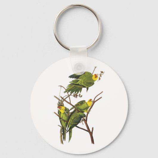 Porte-clés Porte - clé : Parakeet - par John Audubon (Recto)