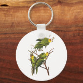 Porte-clés Porte - clé : Parakeet - par John Audubon (Recto)