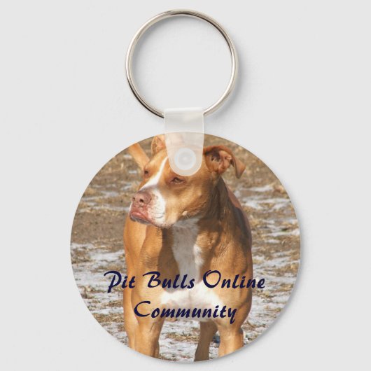 Porte-clés Porte - clé PBOC (Recto)