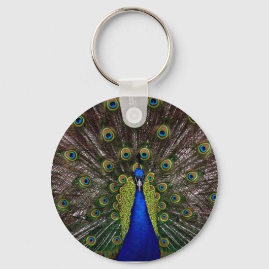 Porte-clés Porte - clé Peacock (Recto)