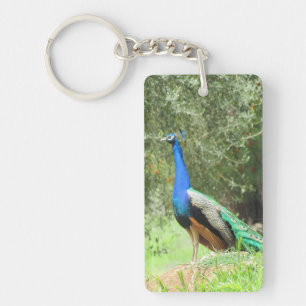 Porte-clés porte - clé - Peacock