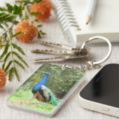 Porte-clés porte - clé - Peacock (Devant droit)