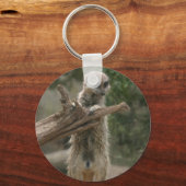 Porte-clés Porte - clé permanent Meerkat (Recto)