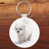 Porte-clés Porte - clé photo Bichon Frise (Recto)