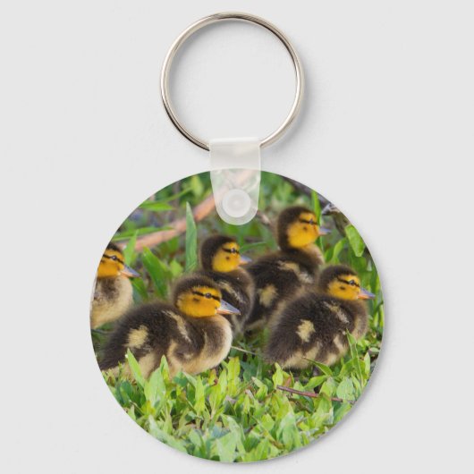 Porte-clés Porte - clé photo Ducklings (Recto)