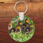 Porte-clés Porte - clé photo Ducklings (Verso)