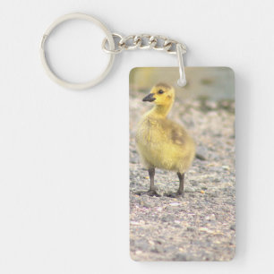Porte-clés Porte - clé photo Gosling