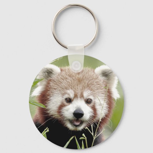 Porte-clés Porte - clé photo panda rouge. Panda roux. (Recto)