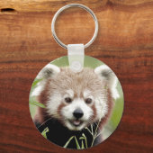 Porte-clés Porte - clé photo panda rouge. Panda roux. (Recto)
