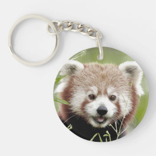Porte-clés porte - clé photo red panda 0075.