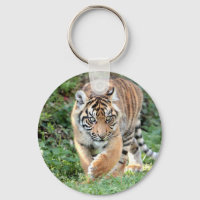 porte - clé Photo tiger, animaux 0190.