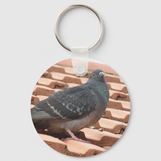 Porte-clés Porte - clé Pigeon sur le toit (Recto)
