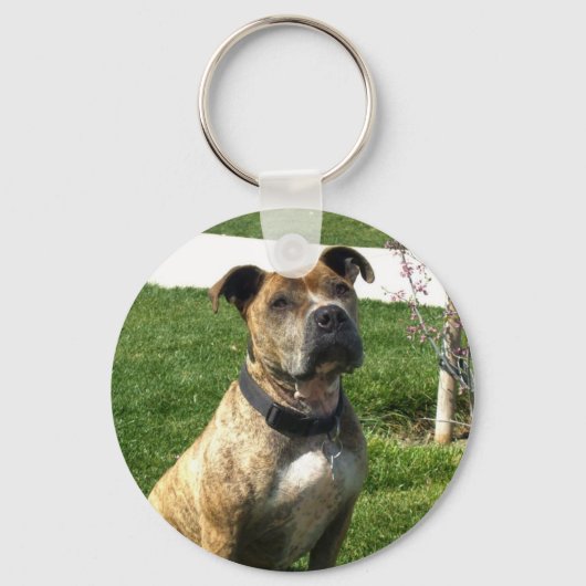 Porte-clés Porte - clé Pitbull (Recto)