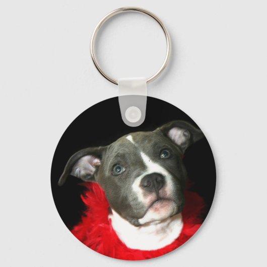 Porte-clés Porte - clé Pitbull bleu (Recto)