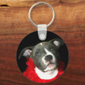 Porte-clés Porte - clé Pitbull bleu (Recto)