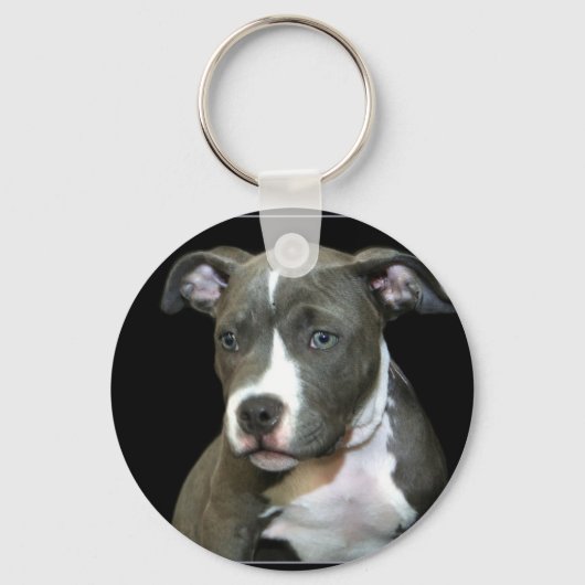 Porte-clés Porte - clé Pitbull bleu (Recto)