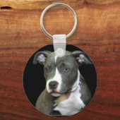 Porte-clés Porte - clé Pitbull bleu (Recto)
