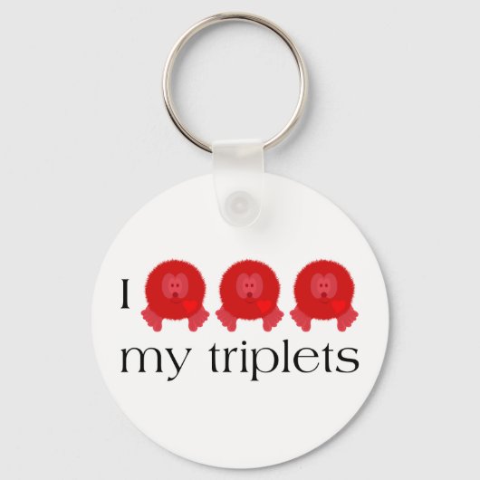 Porte-clés Porte - clé Pom Triplets (Recto)