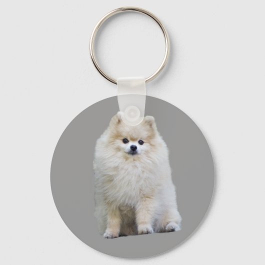 Porte-clés Porte - clé Poméranien (Recto)