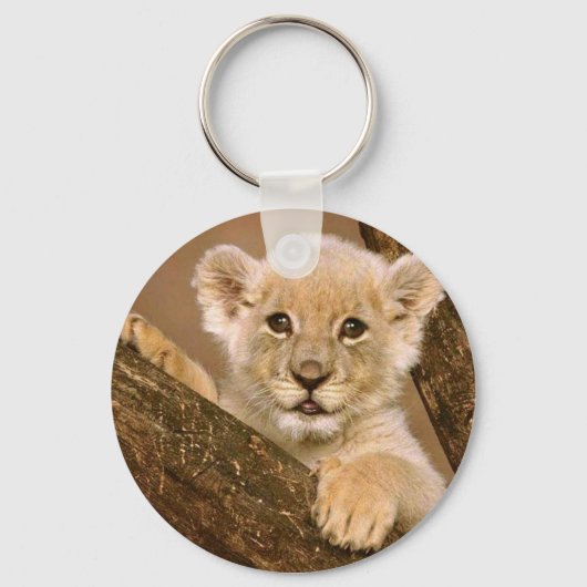 Porte-clés Porte - clé : Porte - clé Lion bébé (Recto)