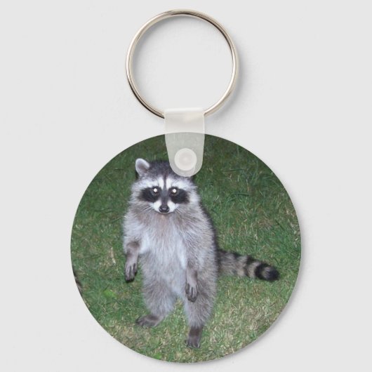 Porte-clés Porte - clé Raccoon (Recto)