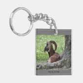 Porte-clés Porte - clé Ram (Devant gauche)