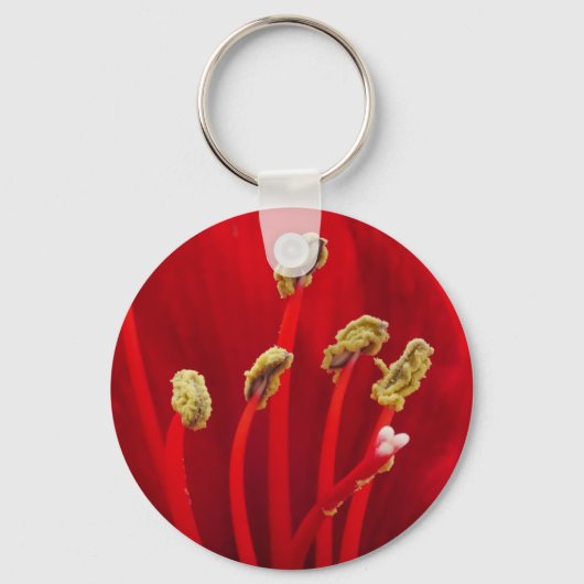 Porte-clés Porte - clé Red Amaryllis (Recto)