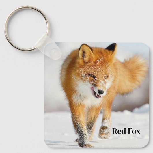 Porte-clés Porte - clé-Red Fox (Recto)