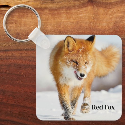 Porte-clés Porte - clé-Red Fox (Recto)