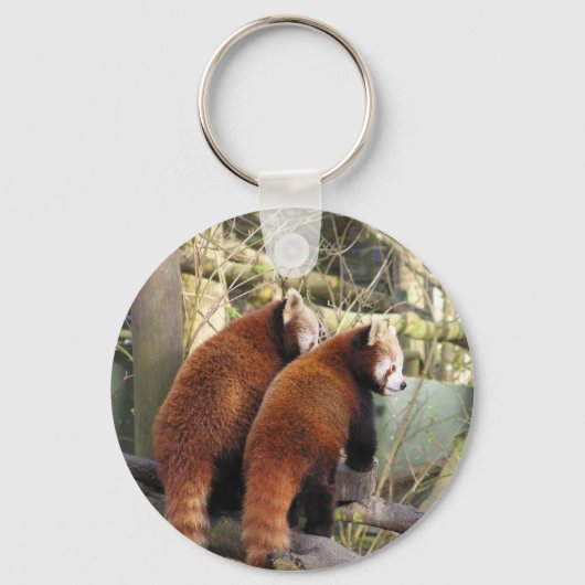 Porte-clés Porte - clé Red Pandas (Recto)