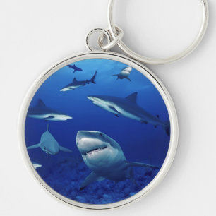 Porte-clés Porte - clé requins