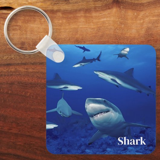 Porte-clés Porte - clé requins (Recto)