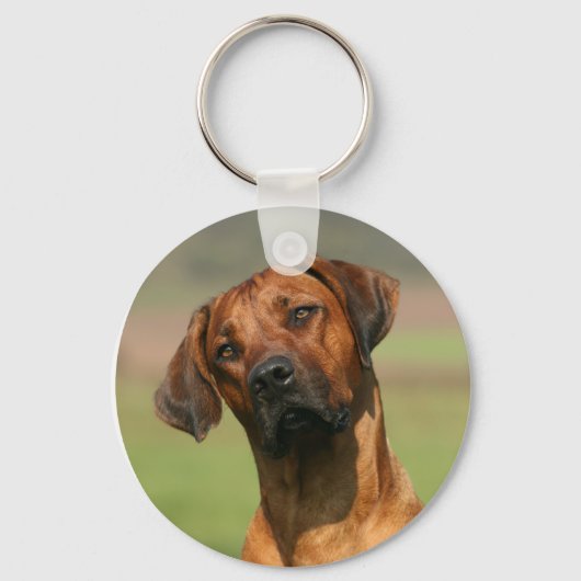 Porte-clés Porte - clé Rhodesian Ridgeback (Recto)