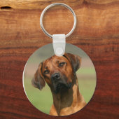 Porte-clés Porte - clé Rhodesian Ridgeback (Recto)