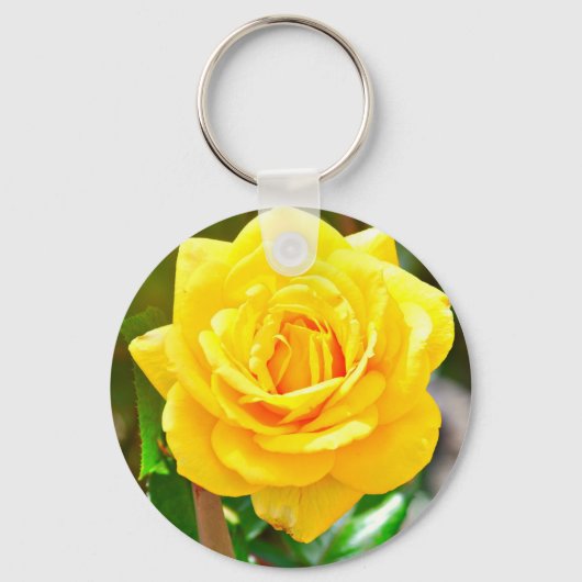 Porte-clés Porte - clé rose jaune (Recto)