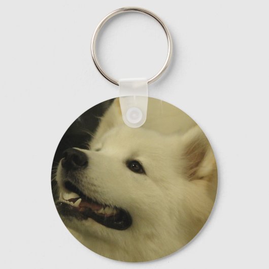 Porte-clés Porte - clé Samoyed Puppy (Recto)