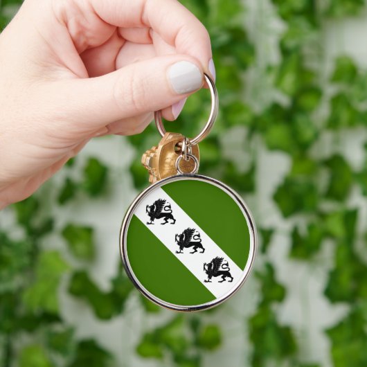 Porte-clés PORTE - CLÉ SCA Gryphonwald (Main)