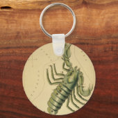 Porte-clés Porte - clé Scorpio (Recto)