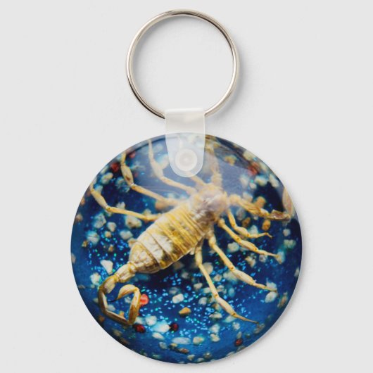 Porte-clés Porte - clé Scorpion (Recto)